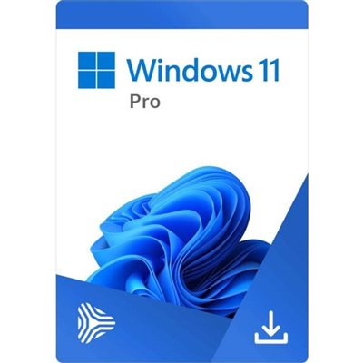 MS WINDOWS 11 PRO 64BT TR OEM FQC-10556